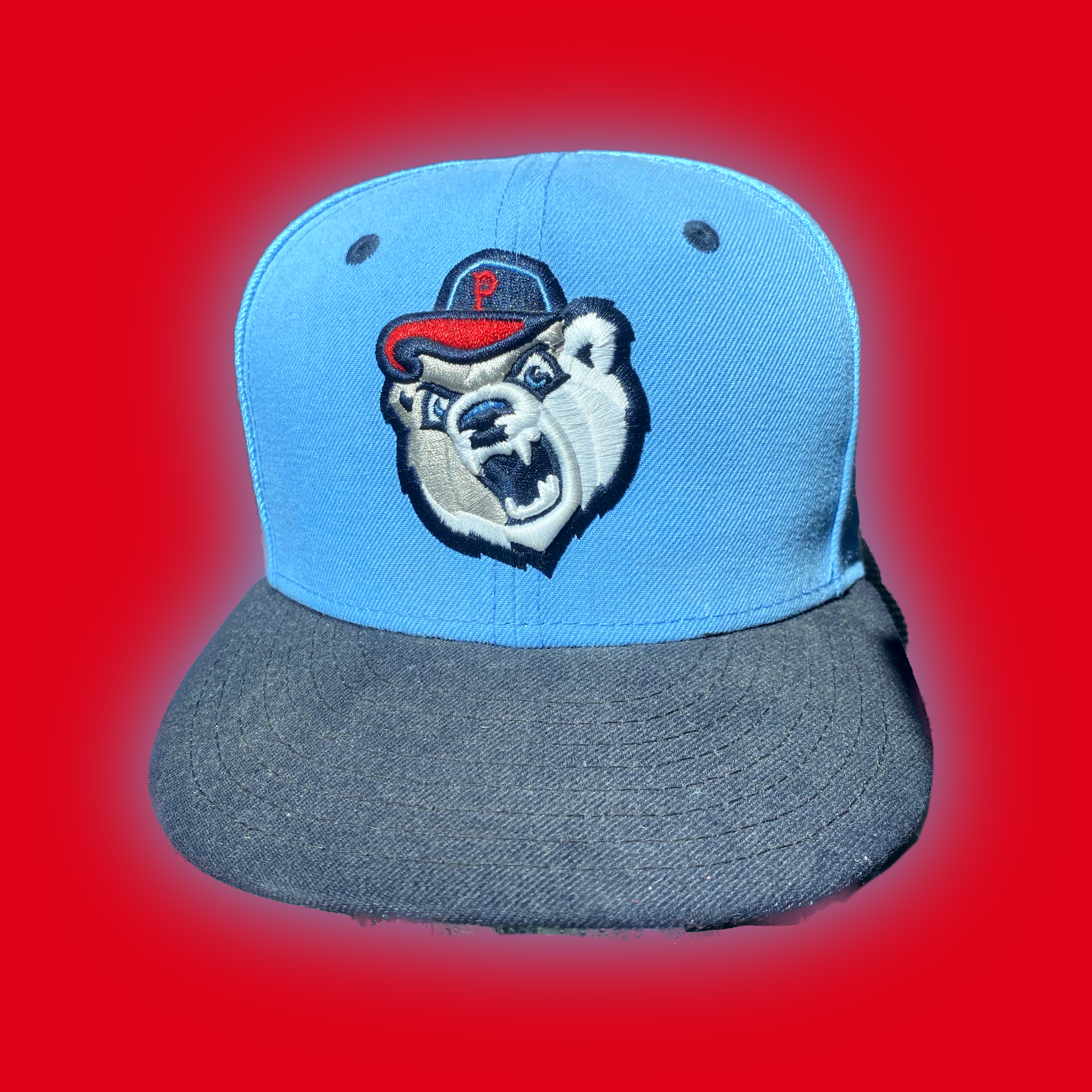 MiLB Pawtucket Red Sox Paw Sox New Era Fitted 7 3/4 – 🎅 Bad Santa