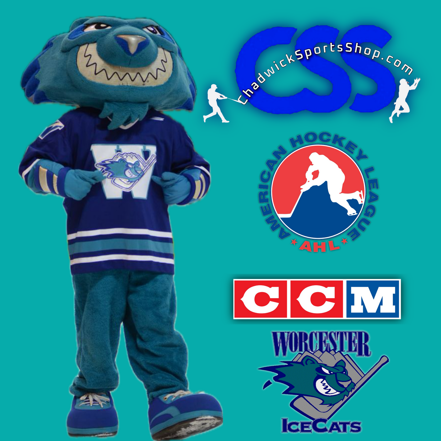 Worcester Ice Cats (AHL 1994-2005) Authentic CCM™️, #1 Apparel™️ Snapback