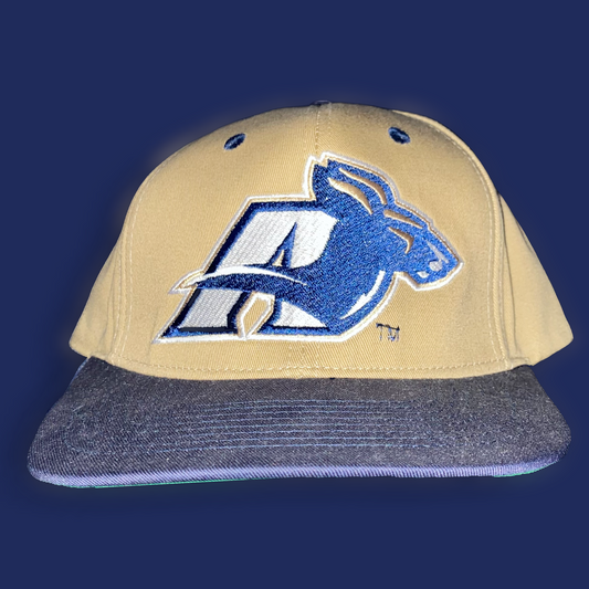 University of Akron Zips Two Tone Logo Authentic Eclipse Snapback