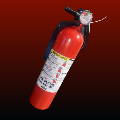 Toronto Raptors Fire Extinguisher