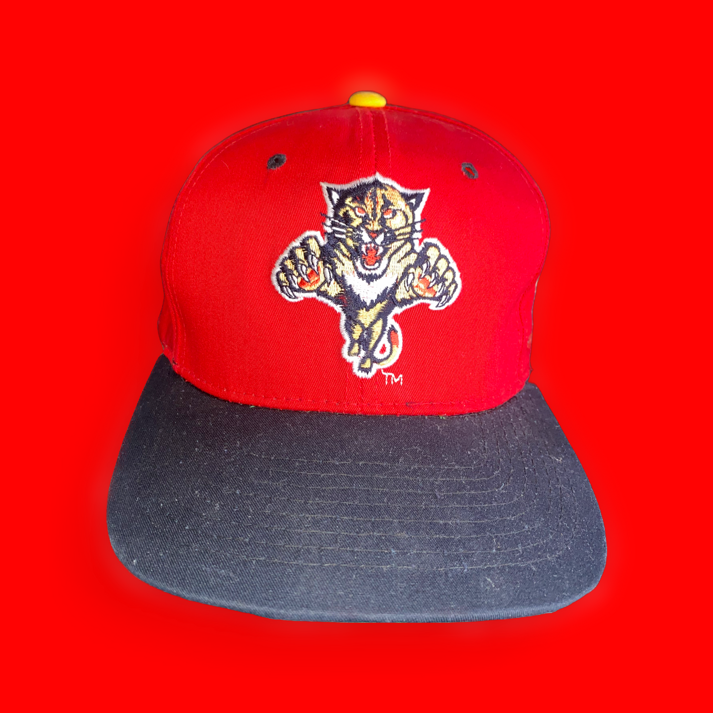 Florida Panthers Authentic NHL Starter™️ Snapback